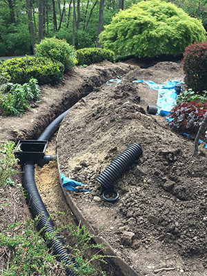 Drainage Solutions McKinney