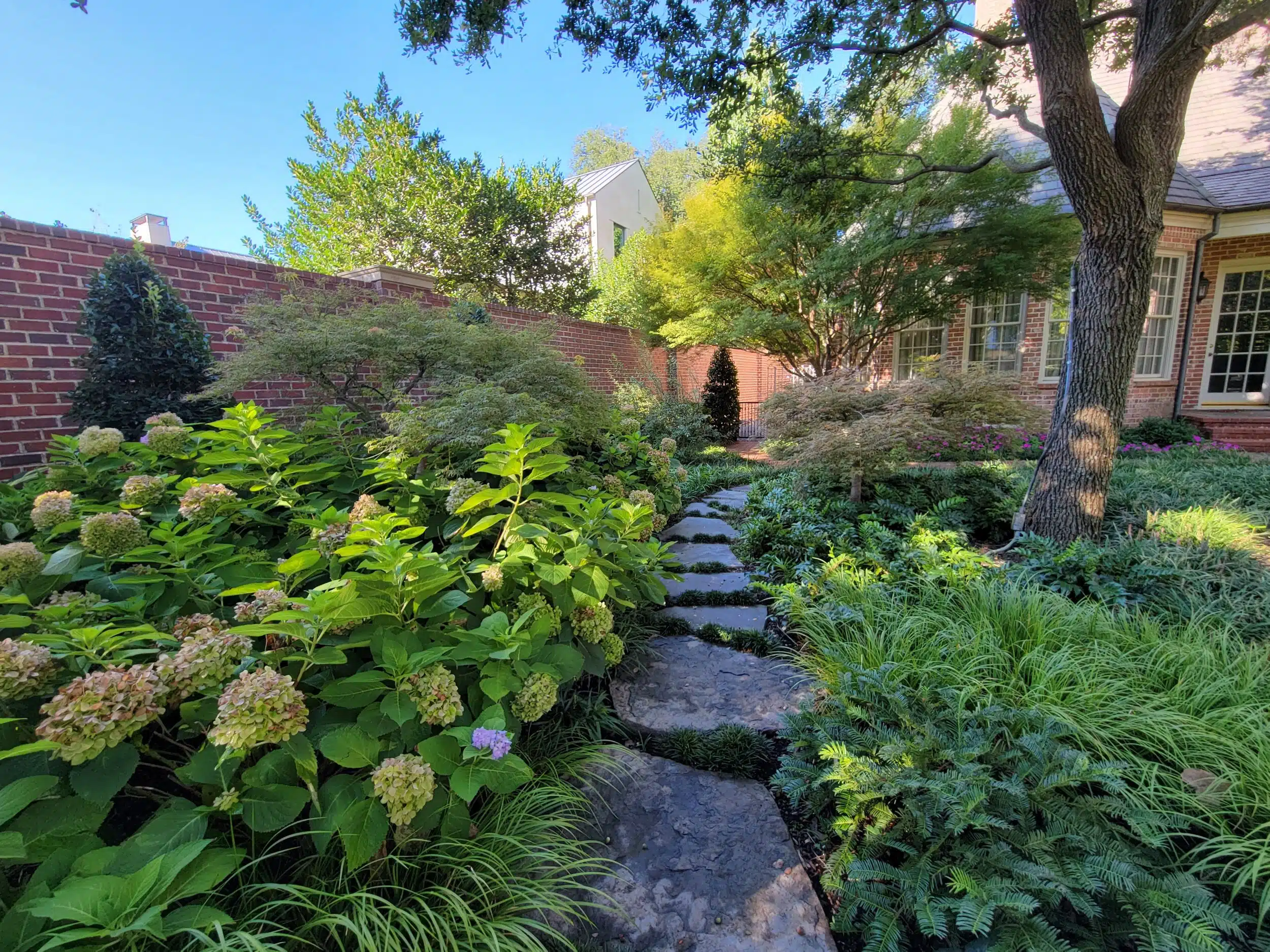 Landscape Design McKinney